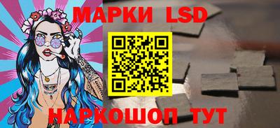 гидропоника Дубна