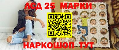 гидропоника Дубна