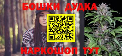 гидропоника Дубна