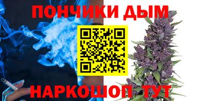 гидропоника Дубна