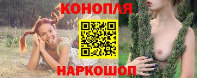 гидропоника Дубна